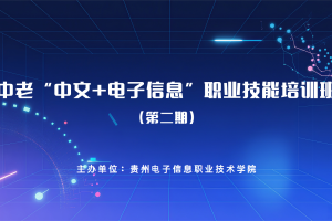 中老“中文+电子信息”职业技能培训班（第二期）