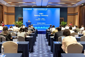 聚焦2024交流周｜数字时代法学人才培养如何创新与转型？这场论坛共探法学教育新路径