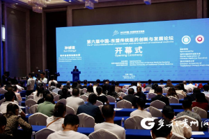 推动中医药传承创新发展 第六届中国—东盟传统医药创新与发展论坛举行