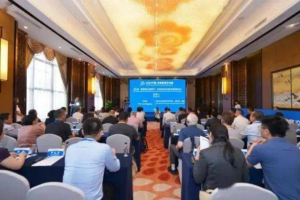 【中国-东盟教育交流周】媒体关注：第三届“铜城黔语·丝露同行”学前教育协同创新发展国际论坛