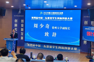 第四届中国—东盟留学生创新创业大赛圆满落幕