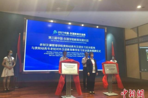 第三届中国—东盟学前教育发展对话开幕